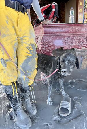 ▲▼高雄搜救隊與搜救犬。(圖/翻攝自Facebook/黃捷)