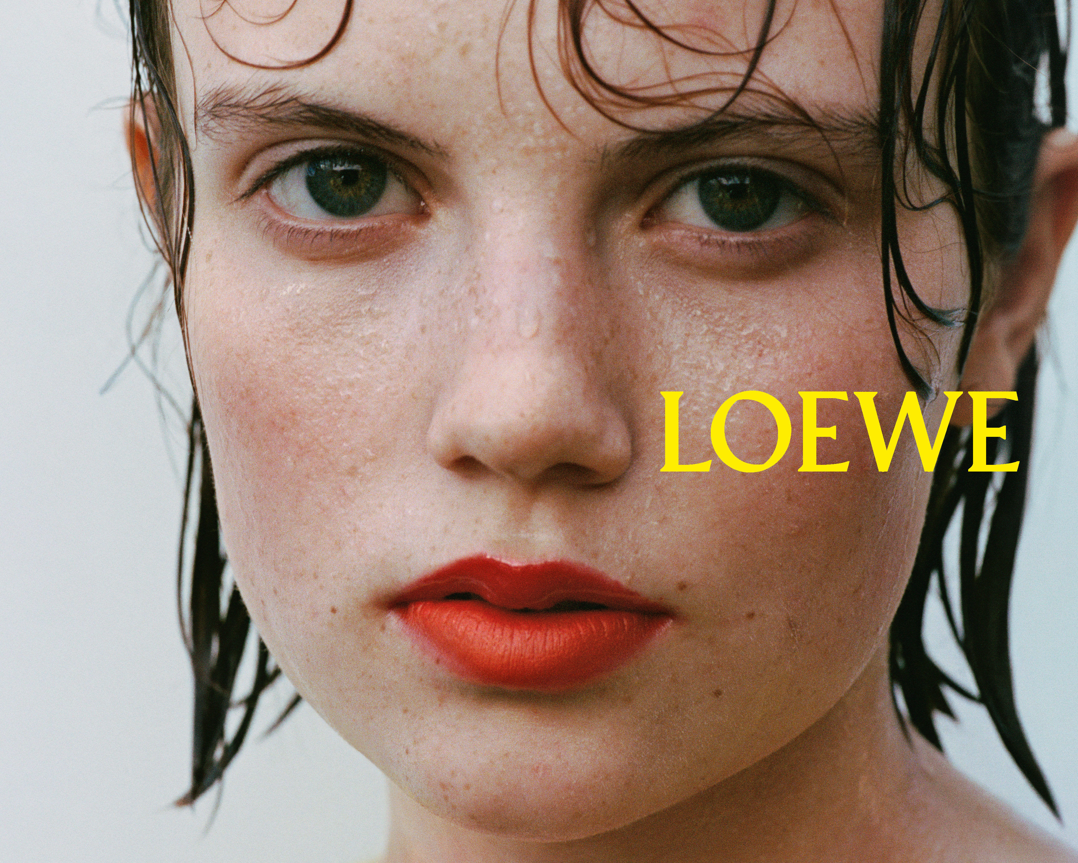 ▲Dior、LOEWE廣告。(圖/品牌提供)