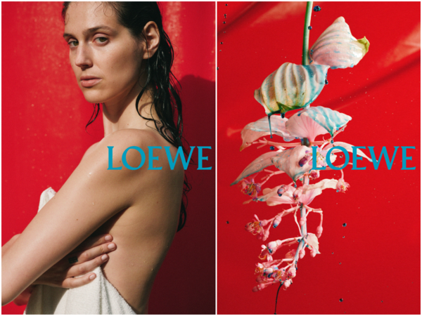 ▲Dior、LOEWE廣告。(圖/品牌提供)