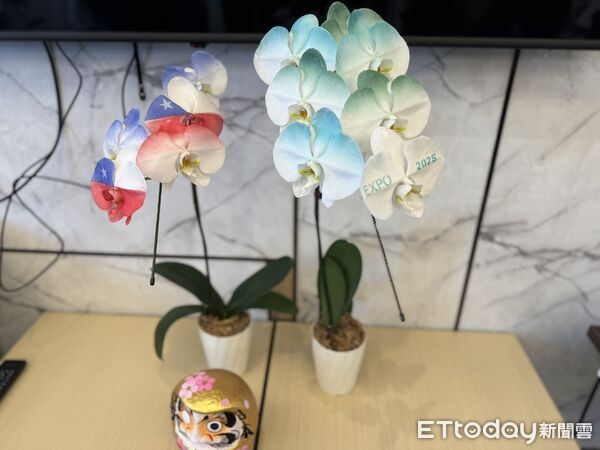 ▲▼2025大阪世博進入尾聲,台灣館「TECH WORLD」人氣爆棚。(圖/記者李姿慧攝)