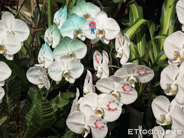 ▲▼台灣館「TECH WORLD」蘭花噴染創意,讓大阪世博其他國家驚艷。(圖/記者李姿慧攝)
