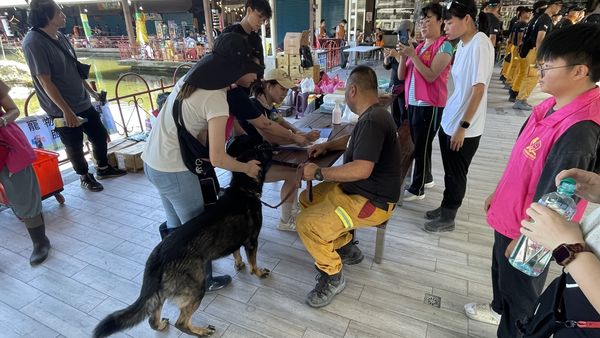 ▲▼花蓮災區狗狗義診。(圖/花蓮縣政府)