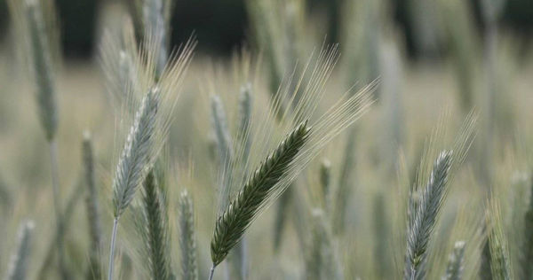 星座專家「清水孟國際塔羅篠安老師」分析,12個星座9月28日至10月4日的運勢。(示意圖/Pixabay)