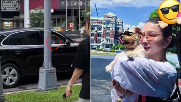 娛樂報報/陳美鳳信義區被捕獲 愛犬坐保時捷副駕