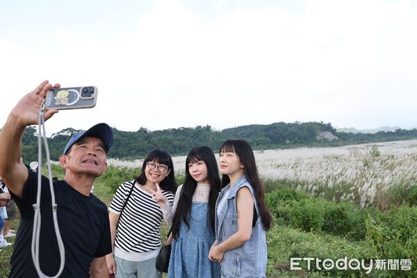 ▲大內甜根子草花海盛開如「九月雪」,成為最佳拍照打卡景點,市長黃偉哲與民眾一同欣賞甜根子草花海美景,呼籲支持在地農產。(圖/記者林東良翻攝,下同)