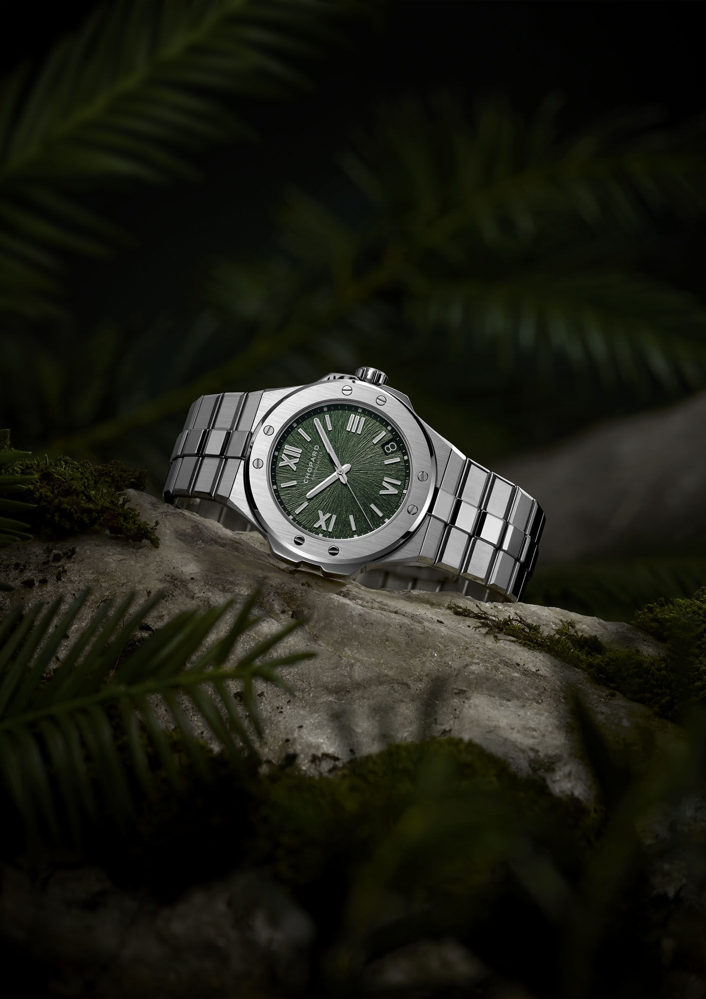 ▲▼ 巨石強森 。(圖/公關照)