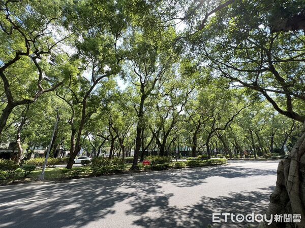 ▲▼ 敦南sogo 。(圖/記者項瀚攝)