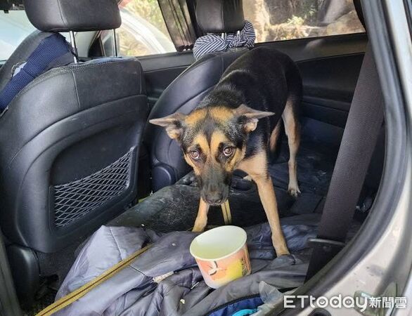 ▲▼花蓮,馬太鞍溪。(圖/記者許權毅攝)