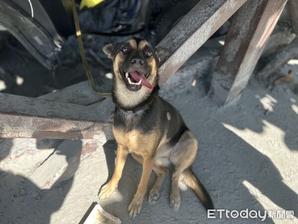 ▲▼花蓮,馬太鞍溪。(圖/記者許權毅攝)