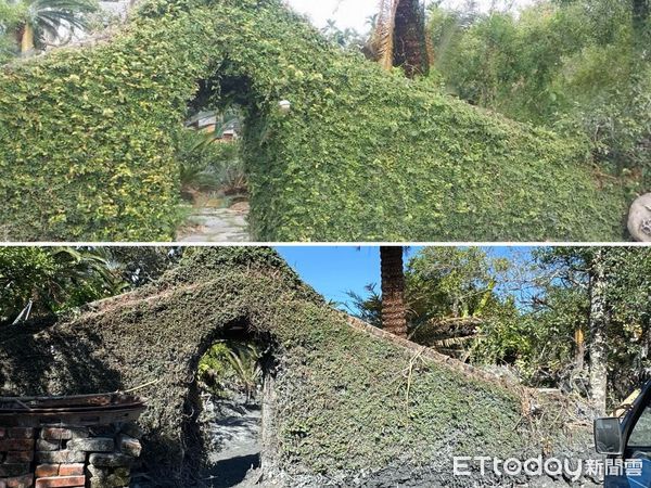 ▲▼花蓮,馬太鞍溪,洪災。(圖/記者許權毅攝)