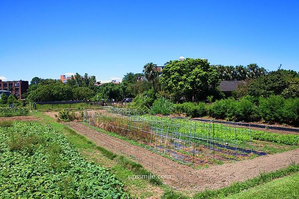 ▲▼臺大農場訪客中心(綠房子)。(圖/部落客UPSSMILE向上的微笑萍子 旅食設影授權提供)