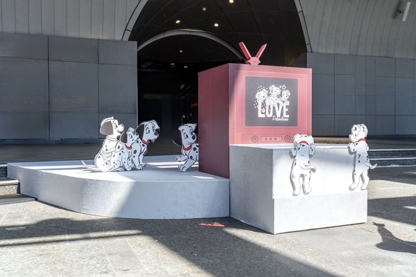 ▲迪士尼與台北捷運聯手推出《捷伴萌寵派對趣》,今(3日)至10月26日在大安森林公園站登場,迪士尼貓狗主題彩繪列車也同步啟動。(圖/台灣迪士尼提供)