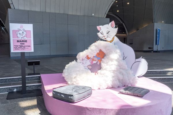 ▲迪士尼與台北捷運聯手推出《捷伴萌寵派對趣》,今(3日)至10月26日在大安森林公園站登場,迪士尼貓狗主題彩繪列車也同步啟動。(圖/台灣迪士尼提供)