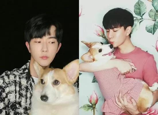 ▲于朦朧兩隻愛犬下落曝光。(圖/翻攝自微博)