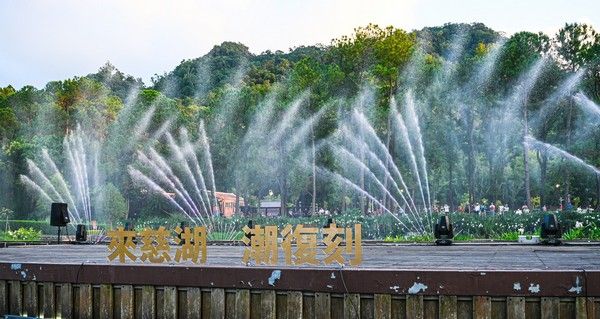 ▲桃園打造慈湖日夜美景