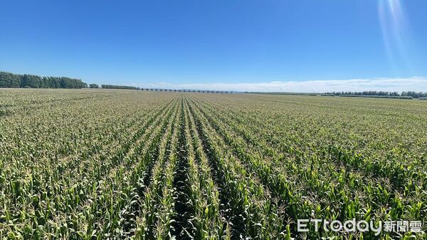 ▲▼ 吉林、梨樹模式、玉米產業、黑土地重生 。(圖/記者任以芳攝)