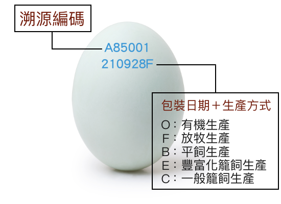 ▲▼雞蛋上兩行編碼有秘密 內行人曝尾數出現「C」千萬別買。(圖/農業部)