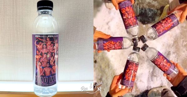 ▲▼Wild Wild 猛男帥身材好舞蹈精彩。(圖/部落客紫色微笑提供)