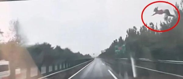 ▲▼陸女駕駛被甩到空中。(圖/翻攝華商報大風新聞)