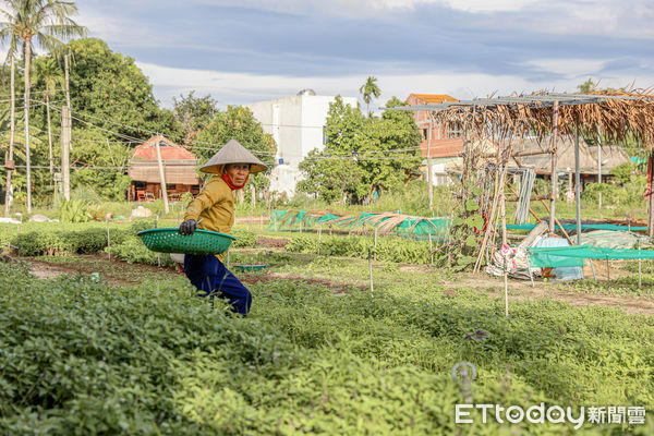 ▲▼越南會安REU餐廳,Rêu Restaurants in Hoi An。(圖/記者蔡玟君攝)