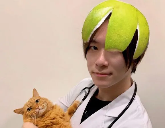 ▲▼別讓貓戴柚子帽。(圖/翻攝自貓行為獸醫師林子軒)