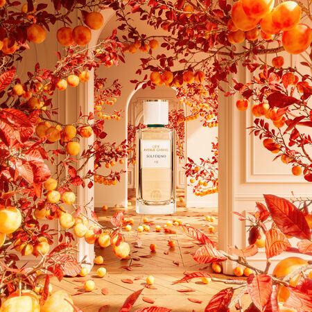 ▲▼美周記。(圖/品牌提供)