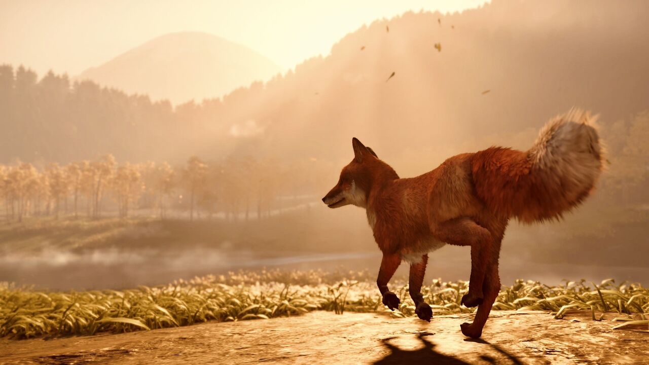 ▲▼《羊蹄山戰鬼》摸狐狸恐有染病風險。(圖/翻攝自X/@fwto_)