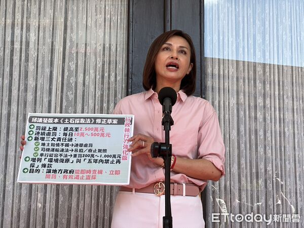 ▲▼民進黨立委邱議瑩。(圖/記者詹詠淇攝)