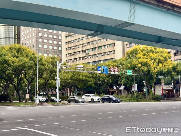 ▲北市敦化南路二段台灣欒樹已轉黃,蔚為知名的「欒樹大道」。(圖/記者彭懷玉攝)