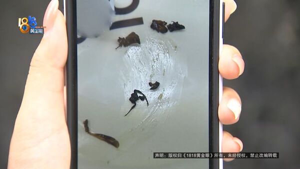 ▲▼大陸女子喝奶茶喝出「昆蟲腿」。(圖/翻攝極目新聞)