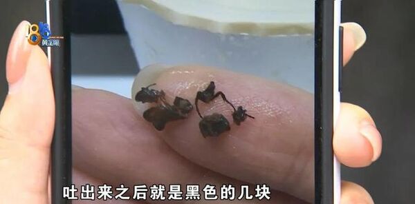 ▲▼大陸女子喝奶茶喝出「昆蟲腿」。(圖/翻攝極目新聞)