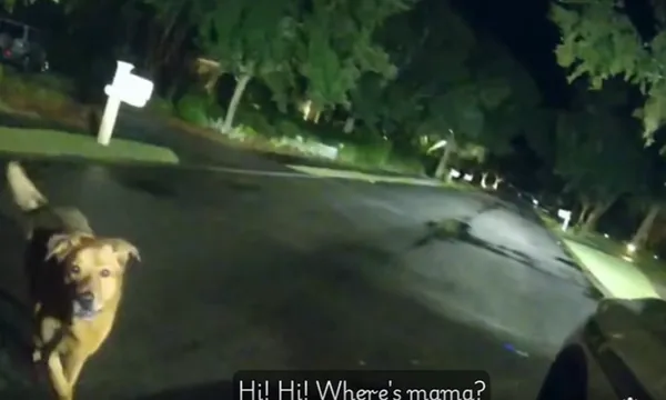 86歲女外出散步失蹤 「聰明毛孫」路上攔截警察帶路救回阿嬤。(圖/翻攝自Facebook/Okaloosa County Sheriff`s Office)