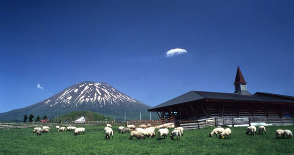 日本北海道羊蹄山。(圖/翻攝自北海道官方旅遊網站)