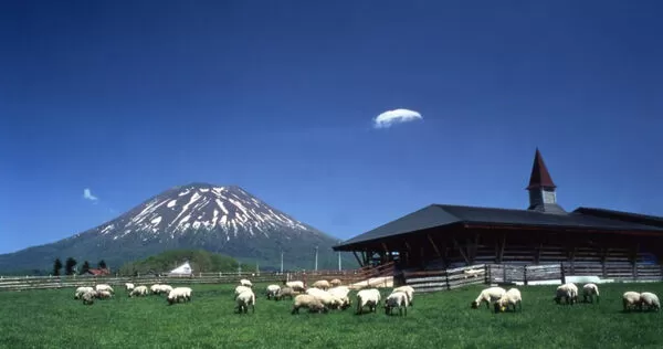 日本北海道羊蹄山。(圖/翻攝自北海道官方旅遊網站)