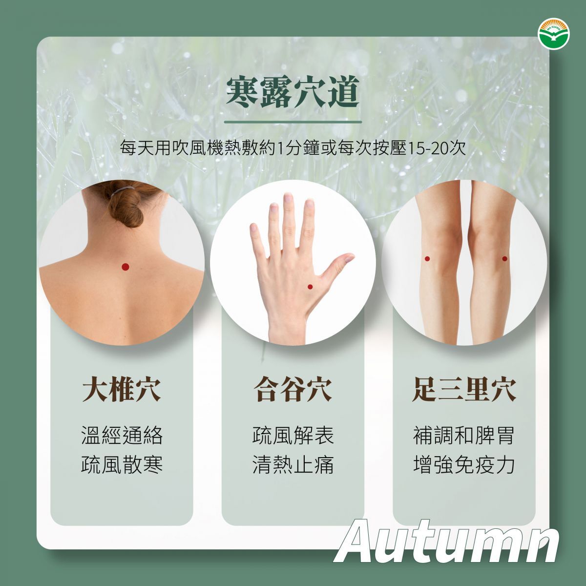 ▲▼寒露腳不露!中醫師的四大保暖防病全攻略。(圖/馬光中醫提供)