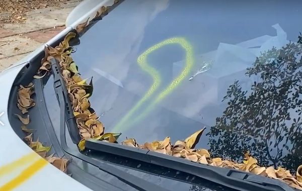 ▲彰化高鐵周邊有6轎車遭噴漆。(圖/記者唐詠絮攝)