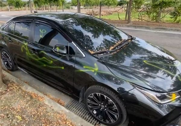 ▲彰化高鐵周邊有6轎車遭噴漆。(圖/記者唐詠絮攝)