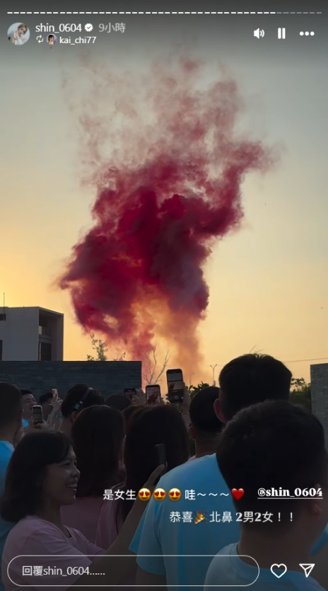 ▲▼饅頭媽限動曬驗孕棒證實懷四寶。(圖/翻攝自IG)