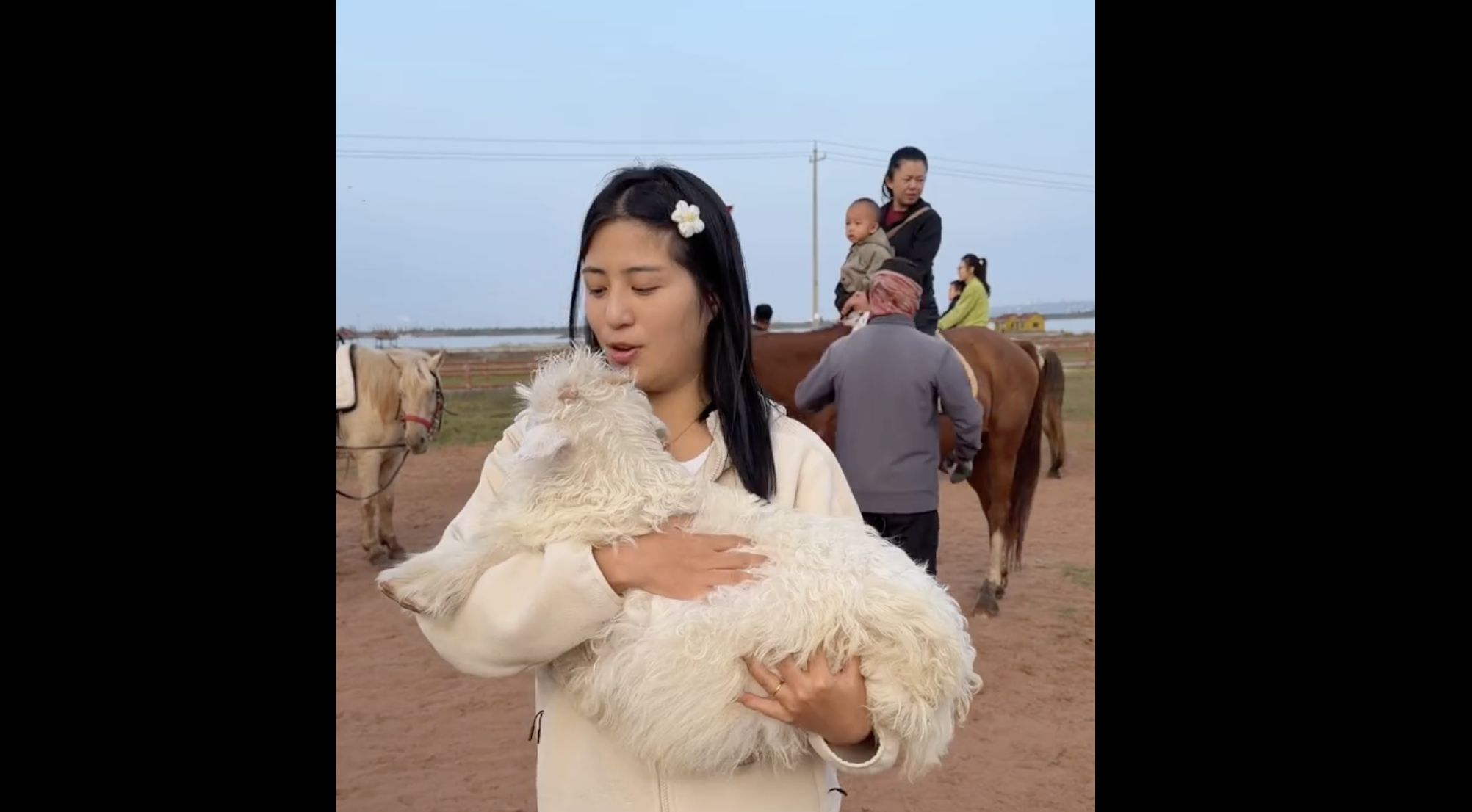 ▲大陸一名搞笑博主「完美婆娘」實測從重慶搭計程車跳表去內蒙古旅遊。(圖/翻攝微博)