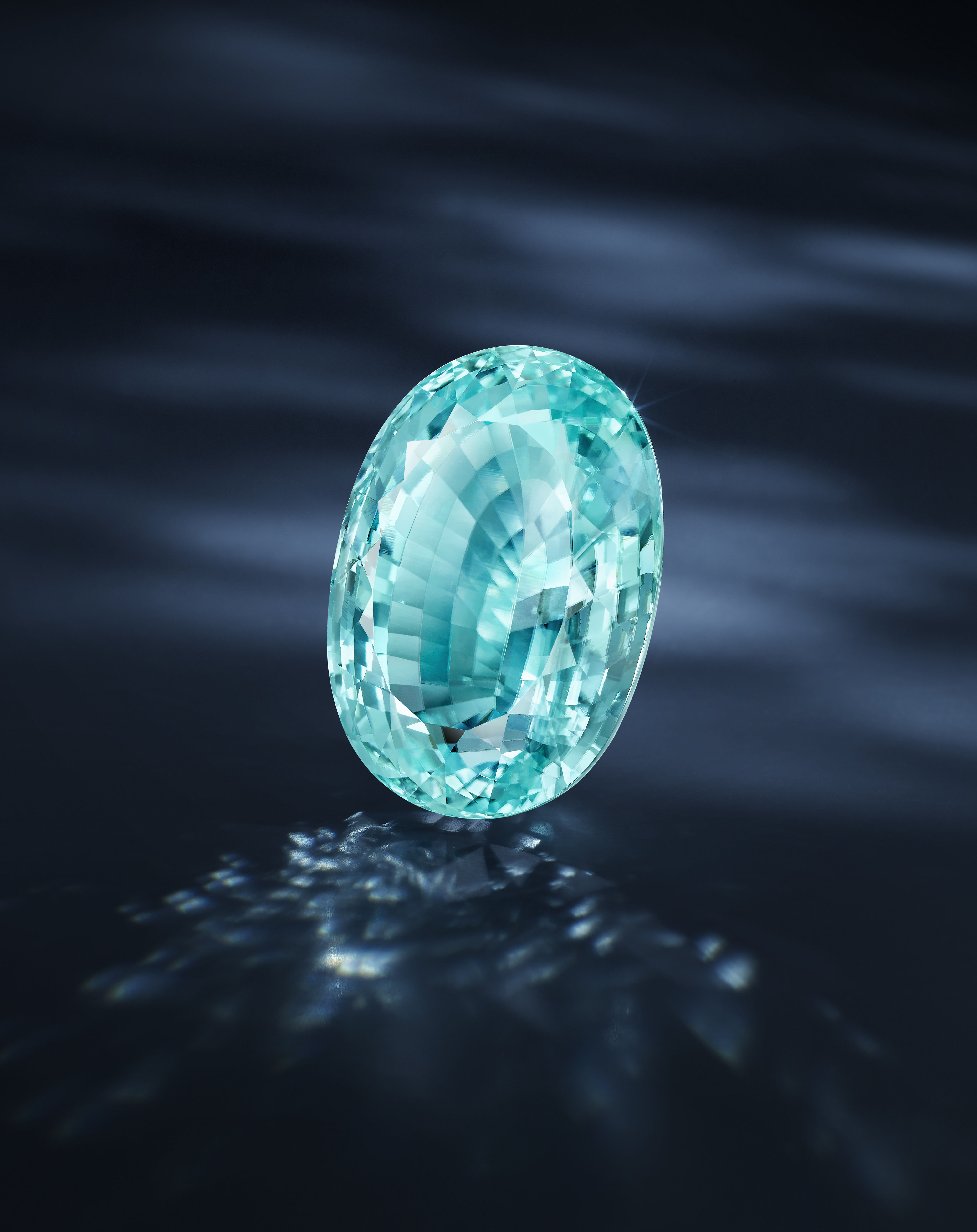 ▲▼ 拍賣會 。(圖/公關照)