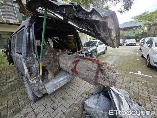 ▲▼28歲周姓男子盜取珍貴台灣扁柏漂流木被人贓俱獲。(圖/記者游芳男翻攝,下同)