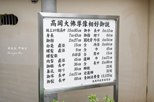 ▲▼高岡大佛。(圖/部落客周花花授權提供)