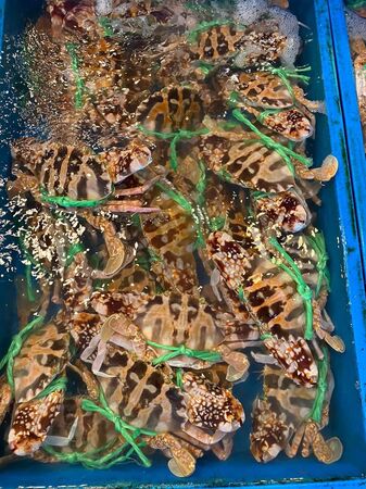 ▲雙十連假「富基石十樂」。(圖/新北市政府提供)