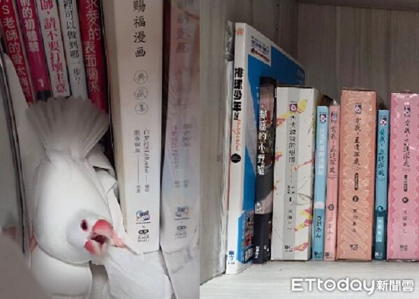 ▲。(圖/Threads@mo._.xu提供,請勿隨意翻拍,以免侵權。)