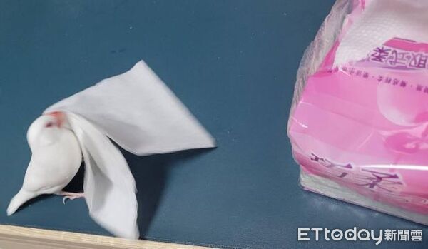 ▲。(圖/Threads@mo._.xu提供,請勿隨意翻拍,以免侵權。)