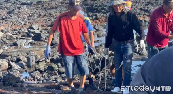 ▲▼▲「新滬」滿滿都是丁香魚。(圖/記者陳洋翻攝)