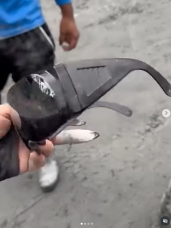 ▲▼嘻小瓜。(圖/翻攝自Instagram/kuakua_0629)