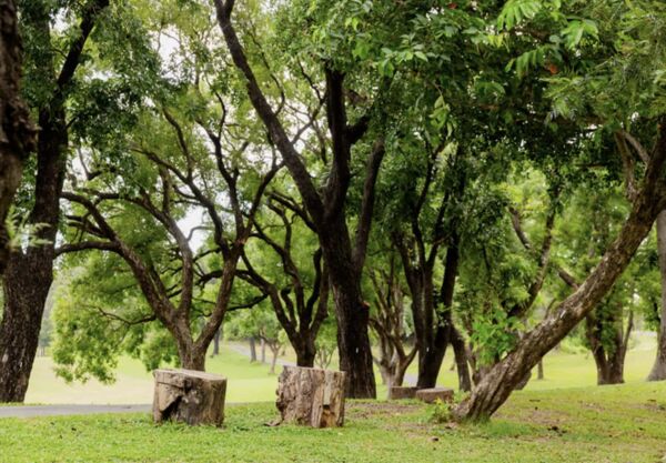▲▼高雄果嶺自然公園。(圖/高雄市政府提供)