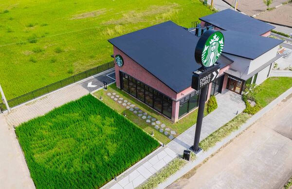 ▲▼星巴克苑裡稻香門市。(圖/翻攝自星巴克咖啡同好會(Starbucks Coffee) 臉書專頁)