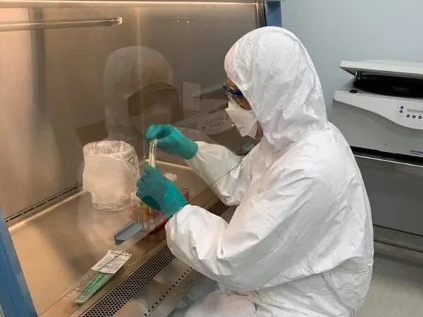 ▲▼農業部警示,人畜傳染病「類鼻疽」可能在水災後發生,病毒常存活於積水與泥沙中。(圖/農業部)